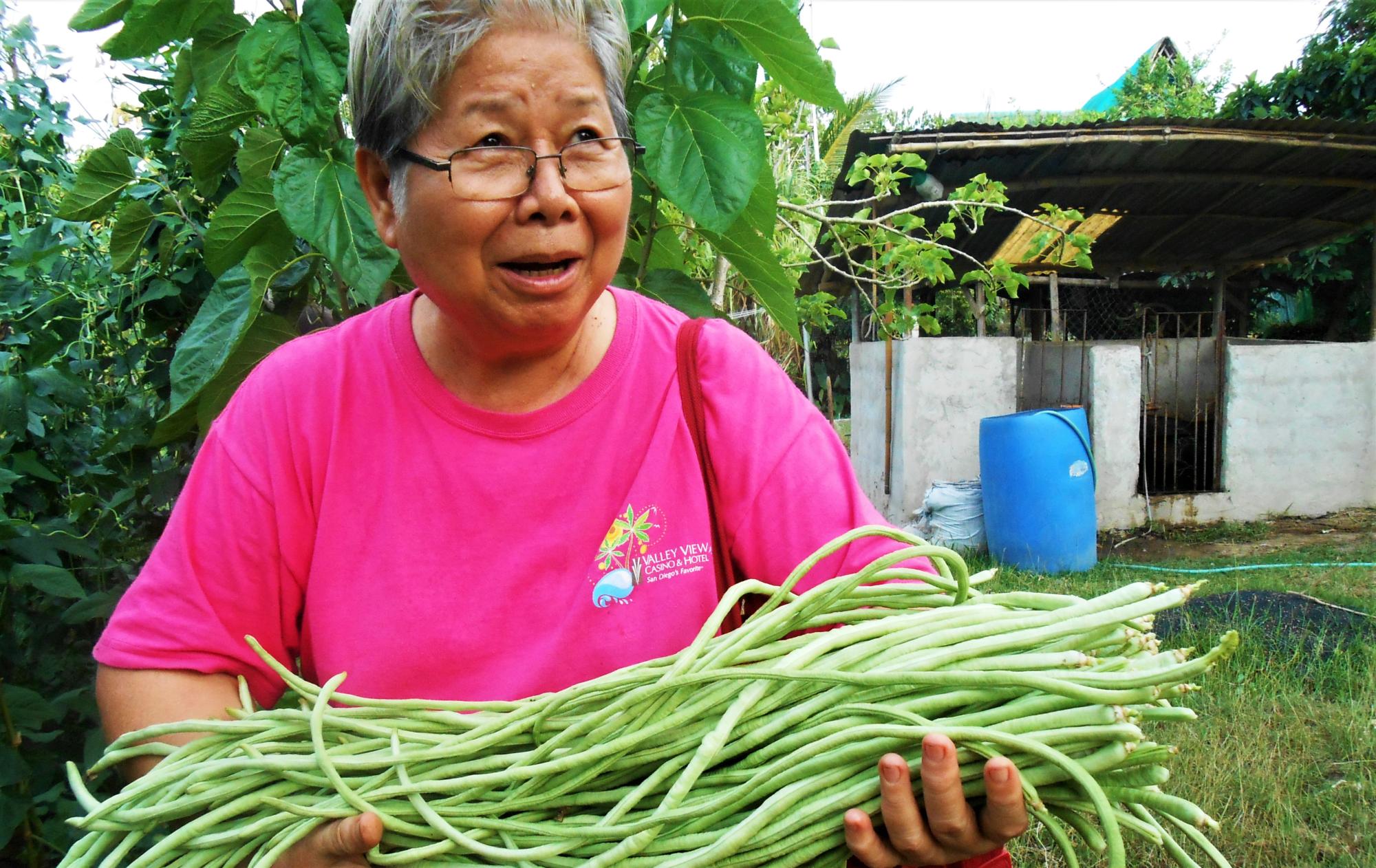 the-philippines-medical-mission-sisters